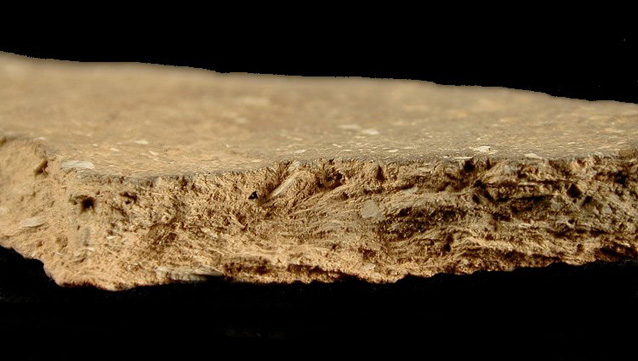 Keyser cross-section of body sherd showing paste, from Biggs Ford site 18FR14/152.